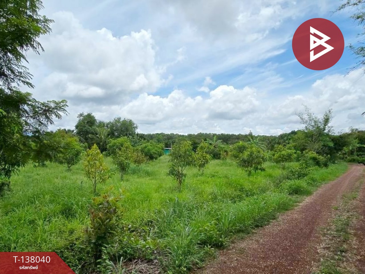 ขายที่ดิน เนื้อที่ 9 ไร่ 44 ตร.วา ท่าใหม่ จันทบุรี 12