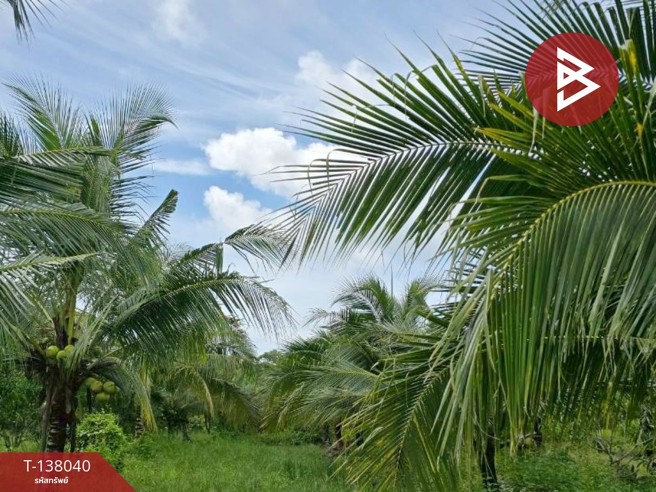 ขายที่ดิน เนื้อที่ 9 ไร่ 44 ตร.วา ท่าใหม่ จันทบุรี 11