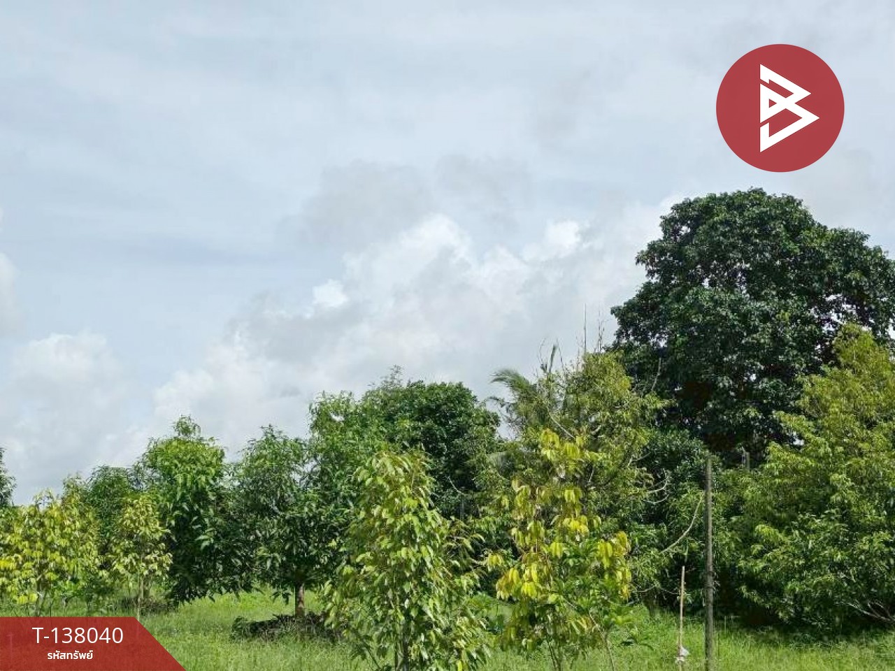 ขายที่ดิน เนื้อที่ 9 ไร่ 44 ตร.วา ท่าใหม่ จันทบุรี 3