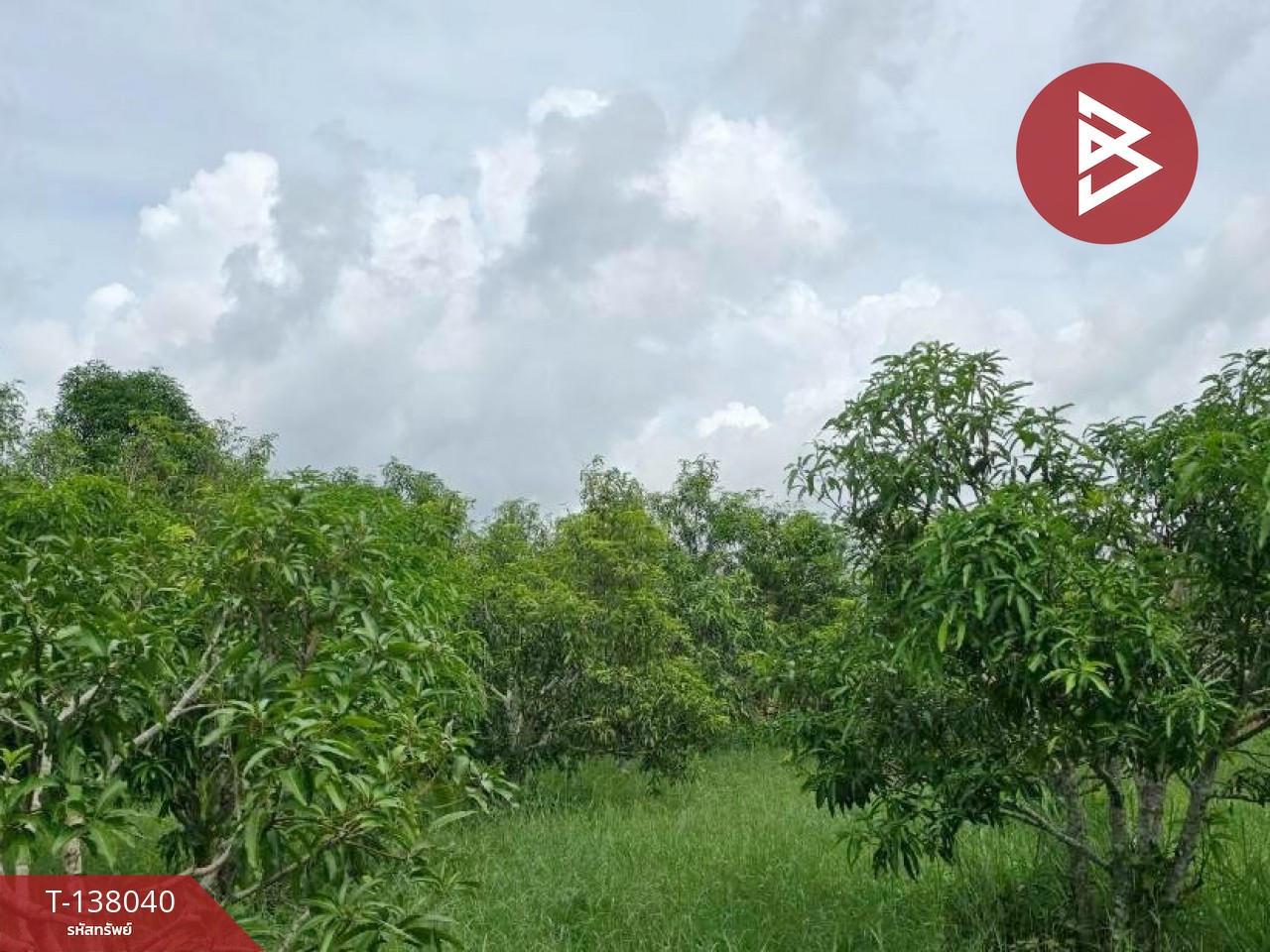 ขายที่ดิน เนื้อที่ 9 ไร่ 44 ตร.วา ท่าใหม่ จันทบุรี 4