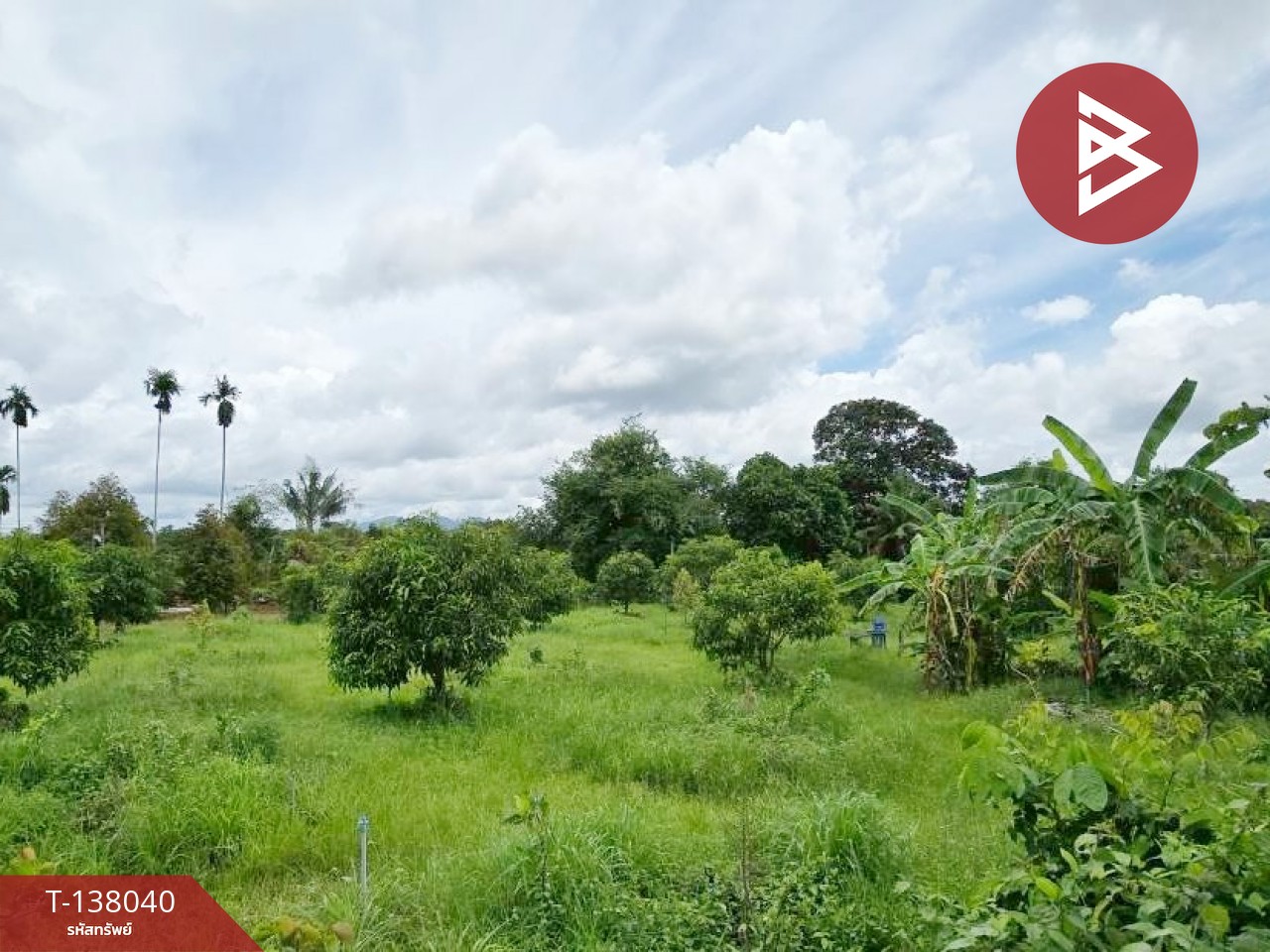 ขายที่ดิน เนื้อที่ 9 ไร่ 44 ตร.วา ท่าใหม่ จันทบุรี 5