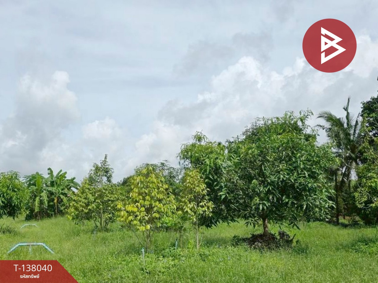 ขายที่ดิน เนื้อที่ 9 ไร่ 44 ตร.วา ท่าใหม่ จันทบุรี 6