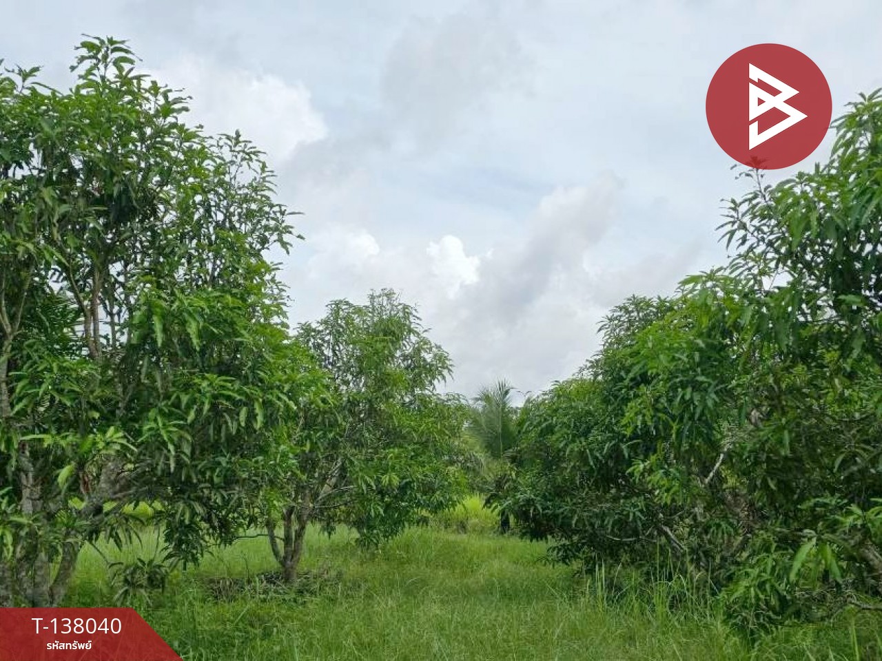 ขายที่ดิน เนื้อที่ 9 ไร่ 44 ตร.วา ท่าใหม่ จันทบุรี 7