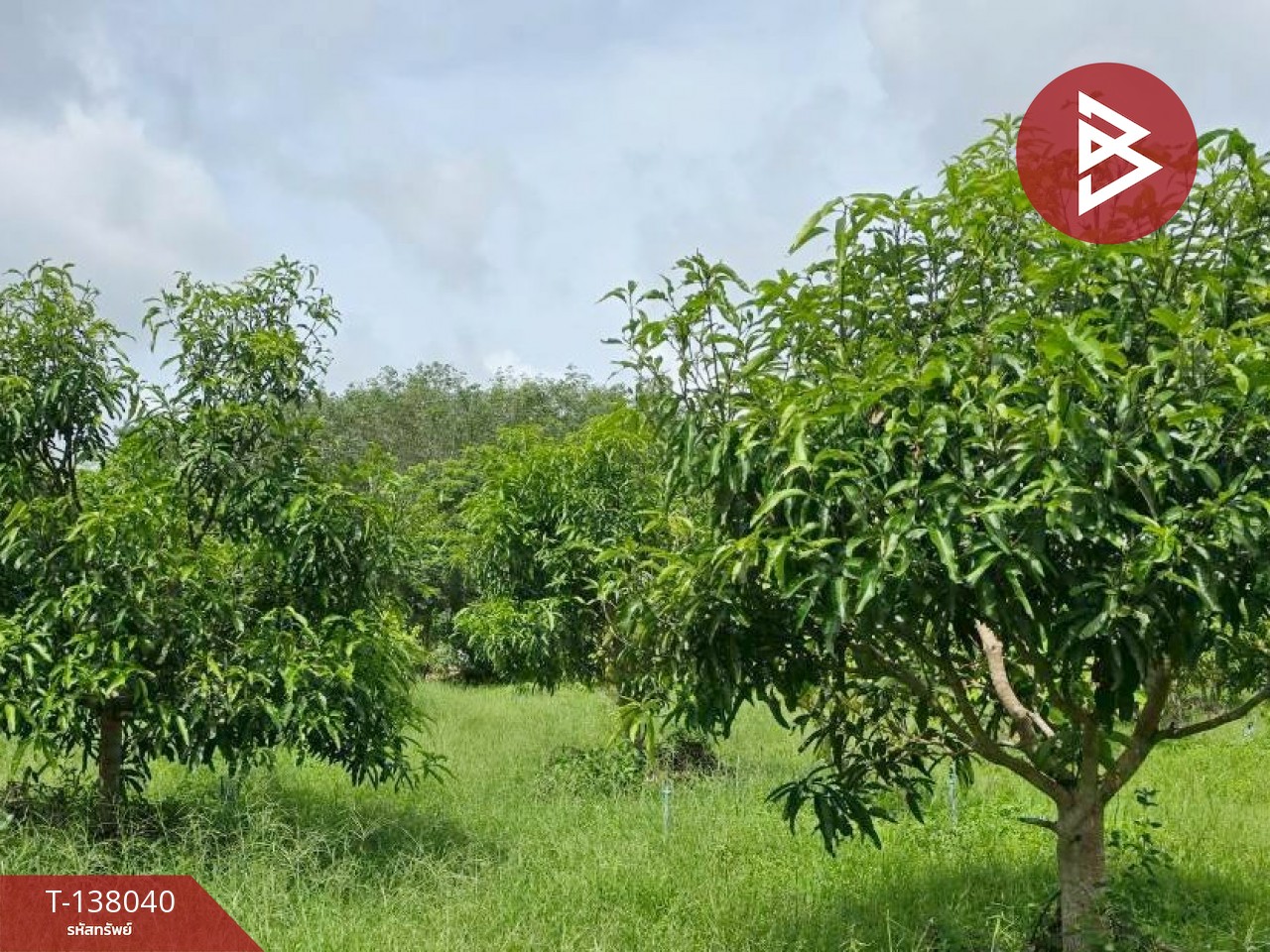 ขายที่ดิน เนื้อที่ 9 ไร่ 44 ตร.วา ท่าใหม่ จันทบุรี 8