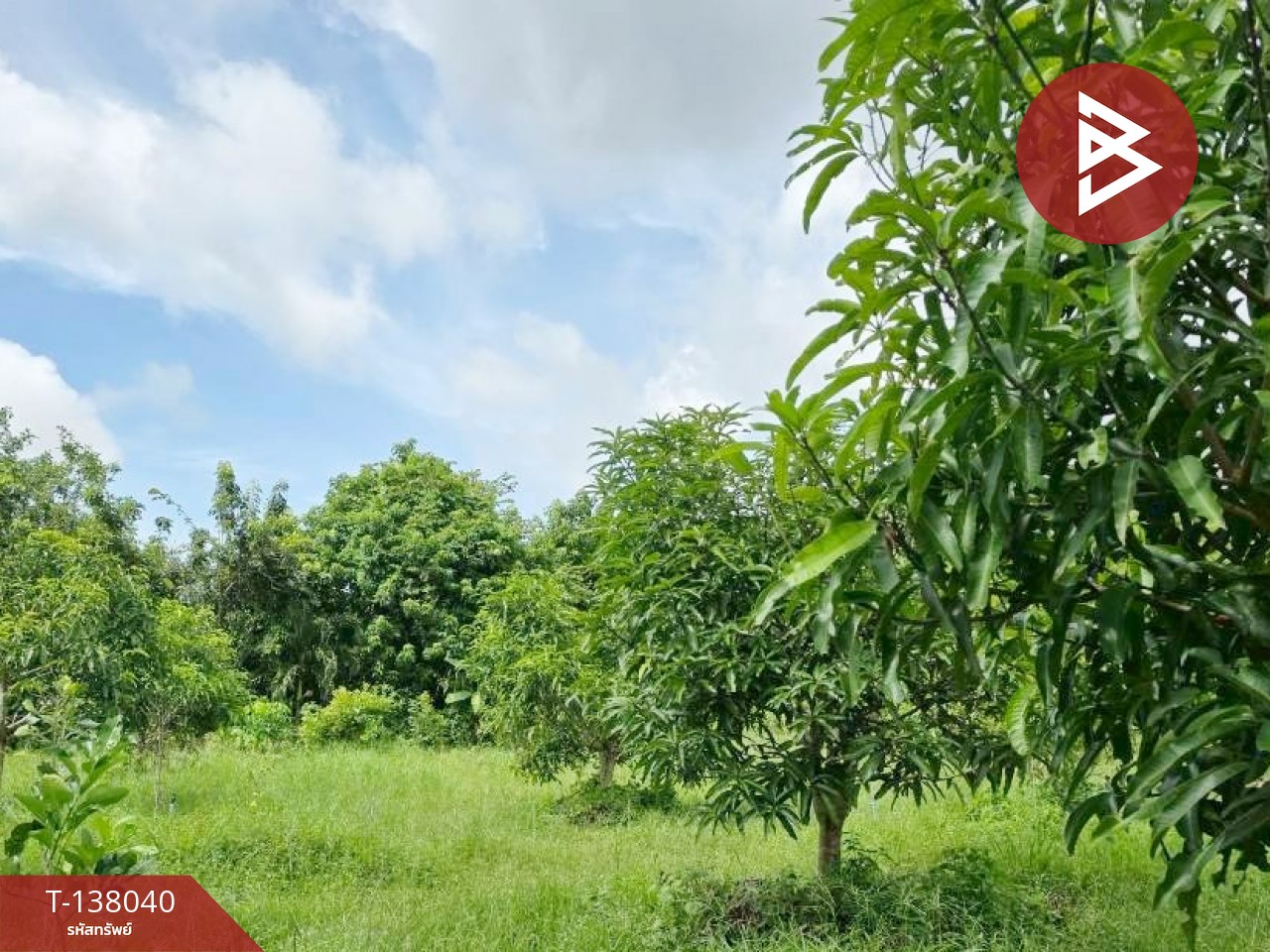 ขายที่ดิน เนื้อที่ 9 ไร่ 44 ตร.วา ท่าใหม่ จันทบุรี 9