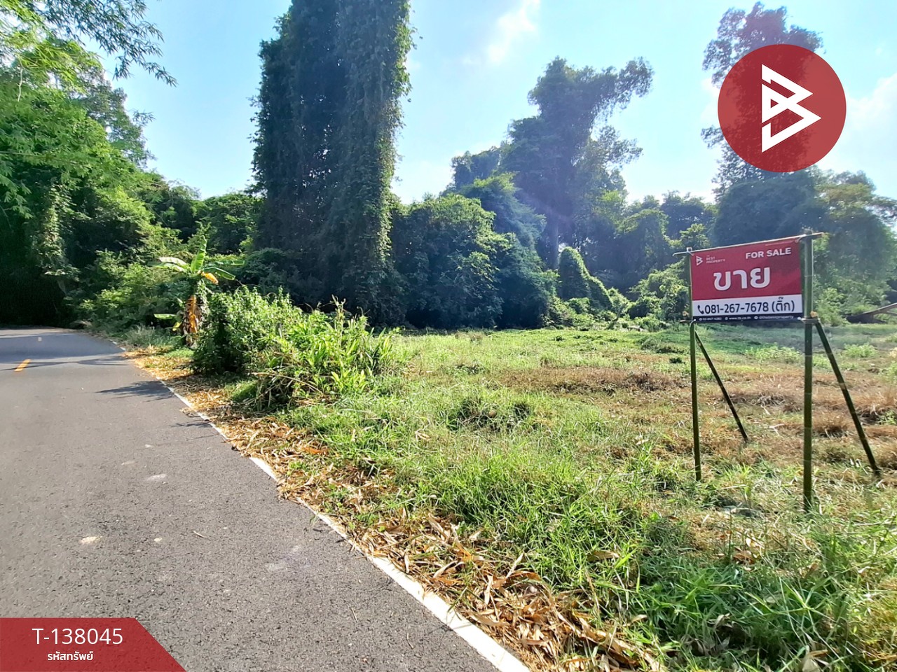 ขายที่ดิน เนื้อที่ 2 ไร่ ต.สะอาดสมบูรณ์ ร้อยเอ็ด ทำเลดีติดถนน 12