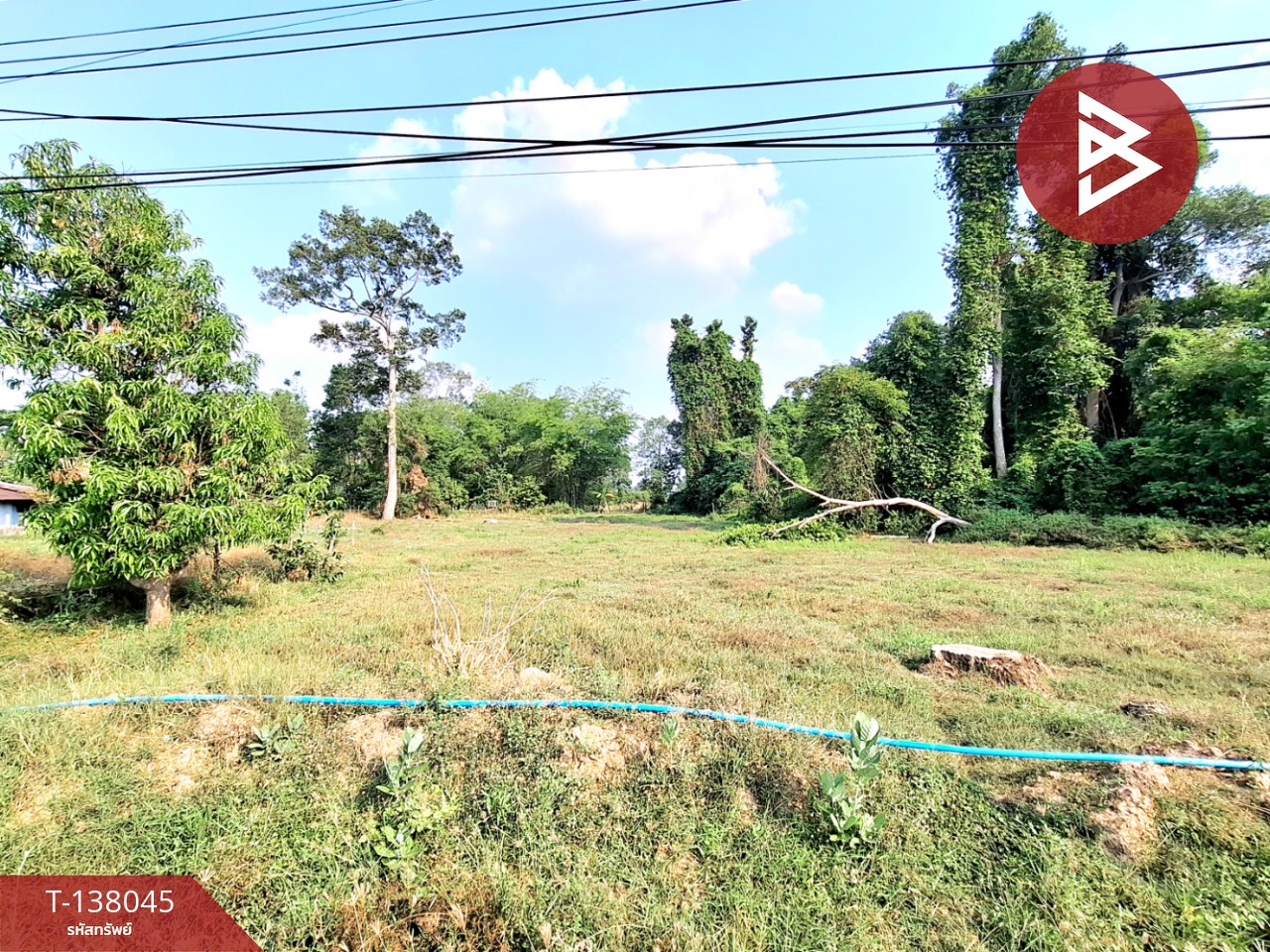 ขายที่ดิน เนื้อที่ 2 ไร่ ต.สะอาดสมบูรณ์ ร้อยเอ็ด ทำเลดีติดถนน 6