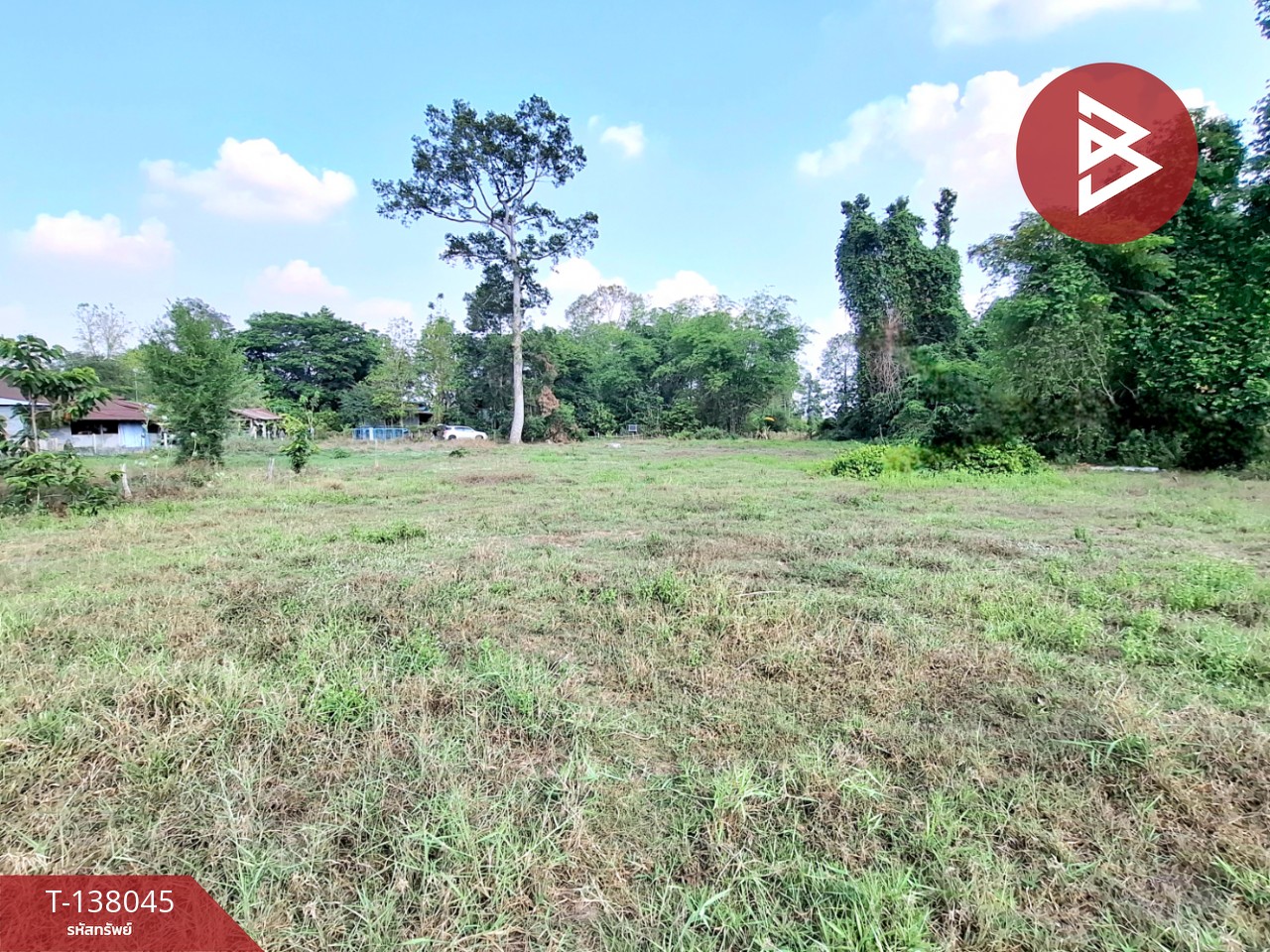 ขายที่ดิน เนื้อที่ 2 ไร่ ต.สะอาดสมบูรณ์ ร้อยเอ็ด ทำเลดีติดถนน 7