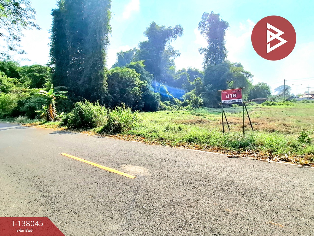 ขายที่ดิน เนื้อที่ 2 ไร่ ต.สะอาดสมบูรณ์ ร้อยเอ็ด ทำเลดีติดถนน 3