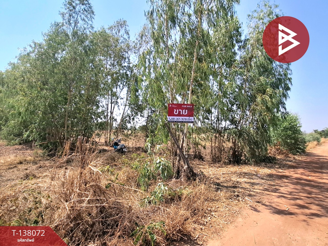 ขายที่ดิน เนื้อที่ 1 ไร่ ตำบลท่าม่วง อำเภอเสลภูมิ ร้อยเอ็ด 9