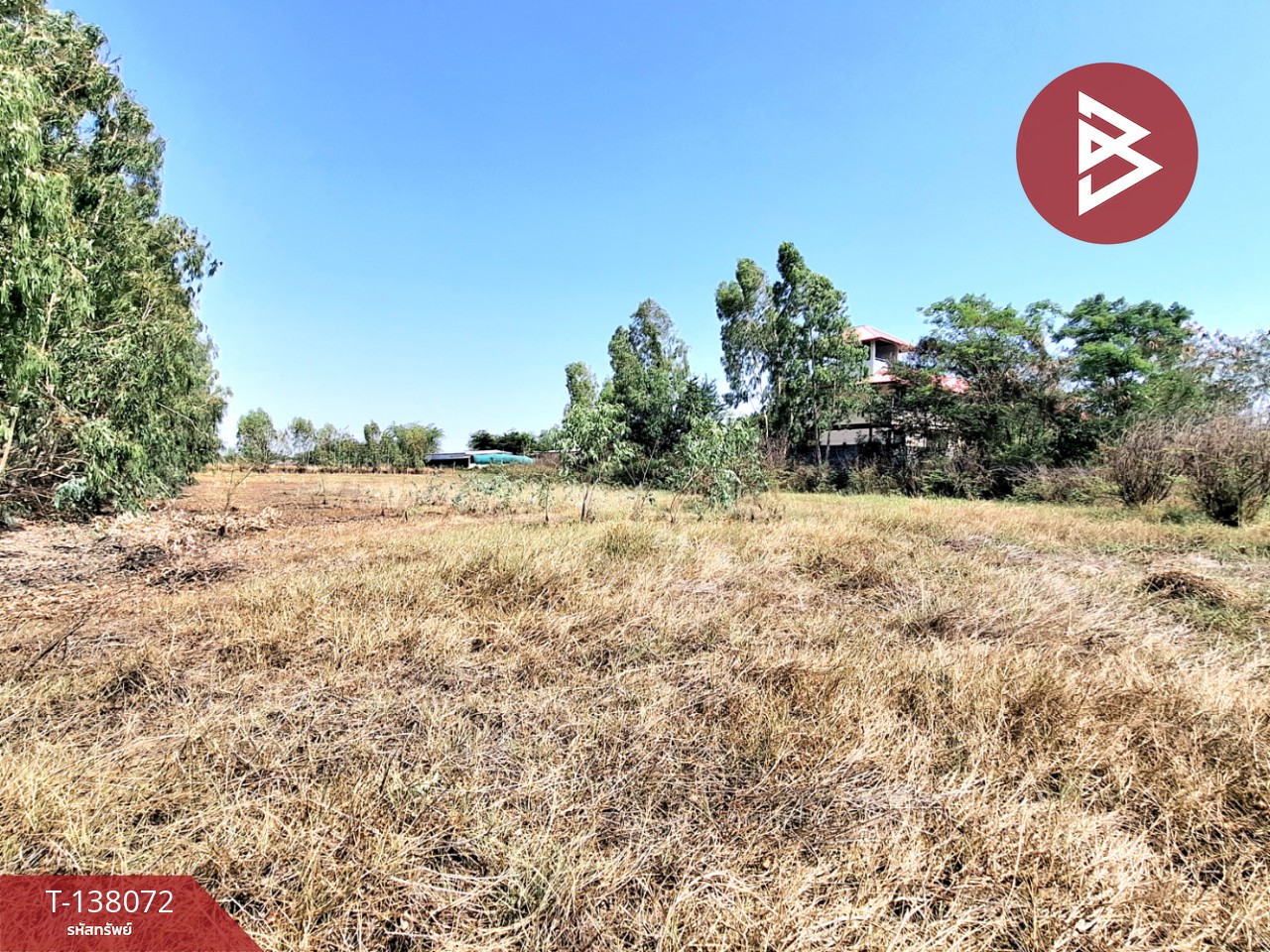 ขายที่ดิน เนื้อที่ 1 ไร่ ตำบลท่าม่วง อำเภอเสลภูมิ ร้อยเอ็ด 5