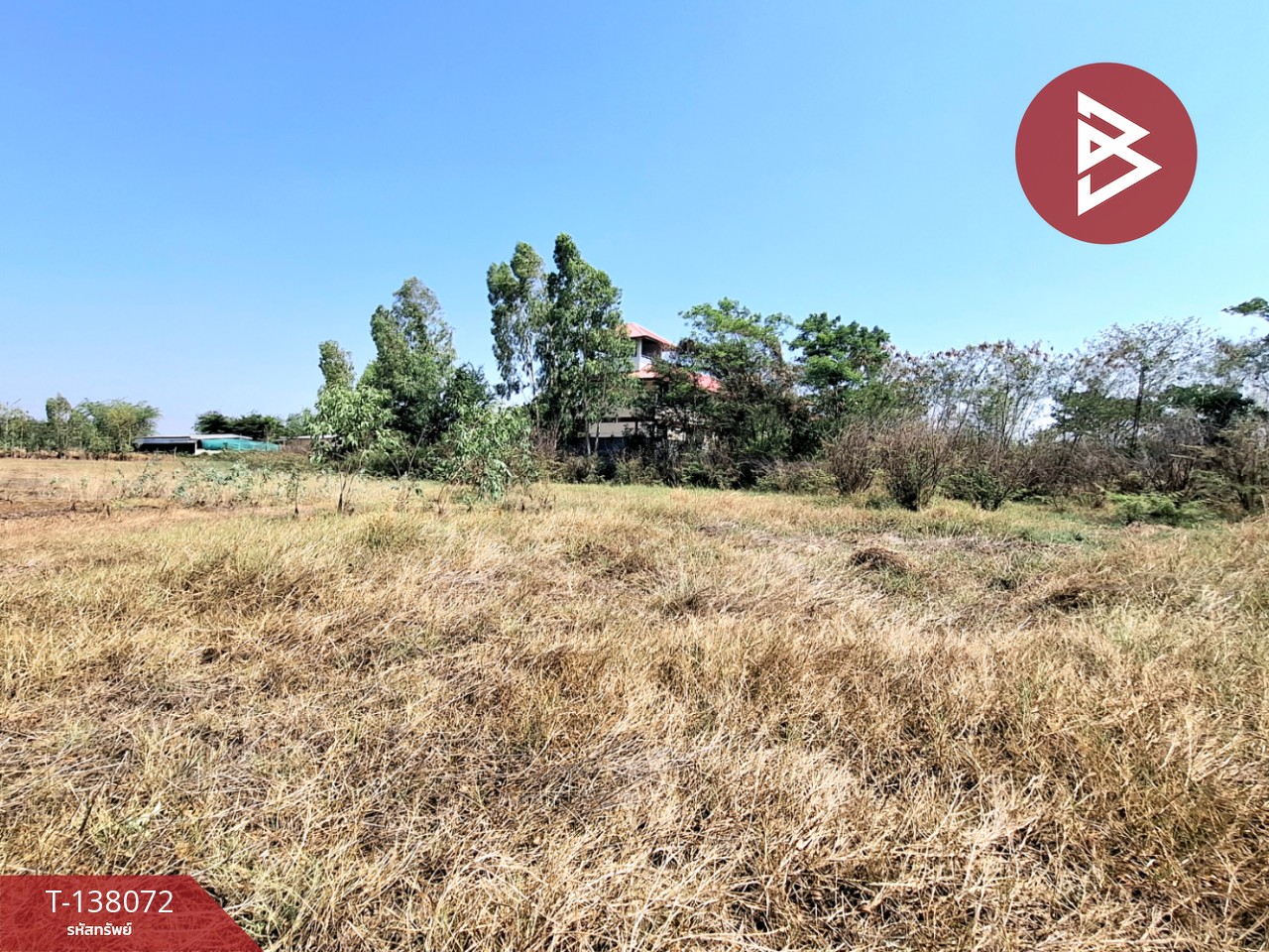 ขายที่ดิน เนื้อที่ 1 ไร่ ตำบลท่าม่วง อำเภอเสลภูมิ ร้อยเอ็ด 4