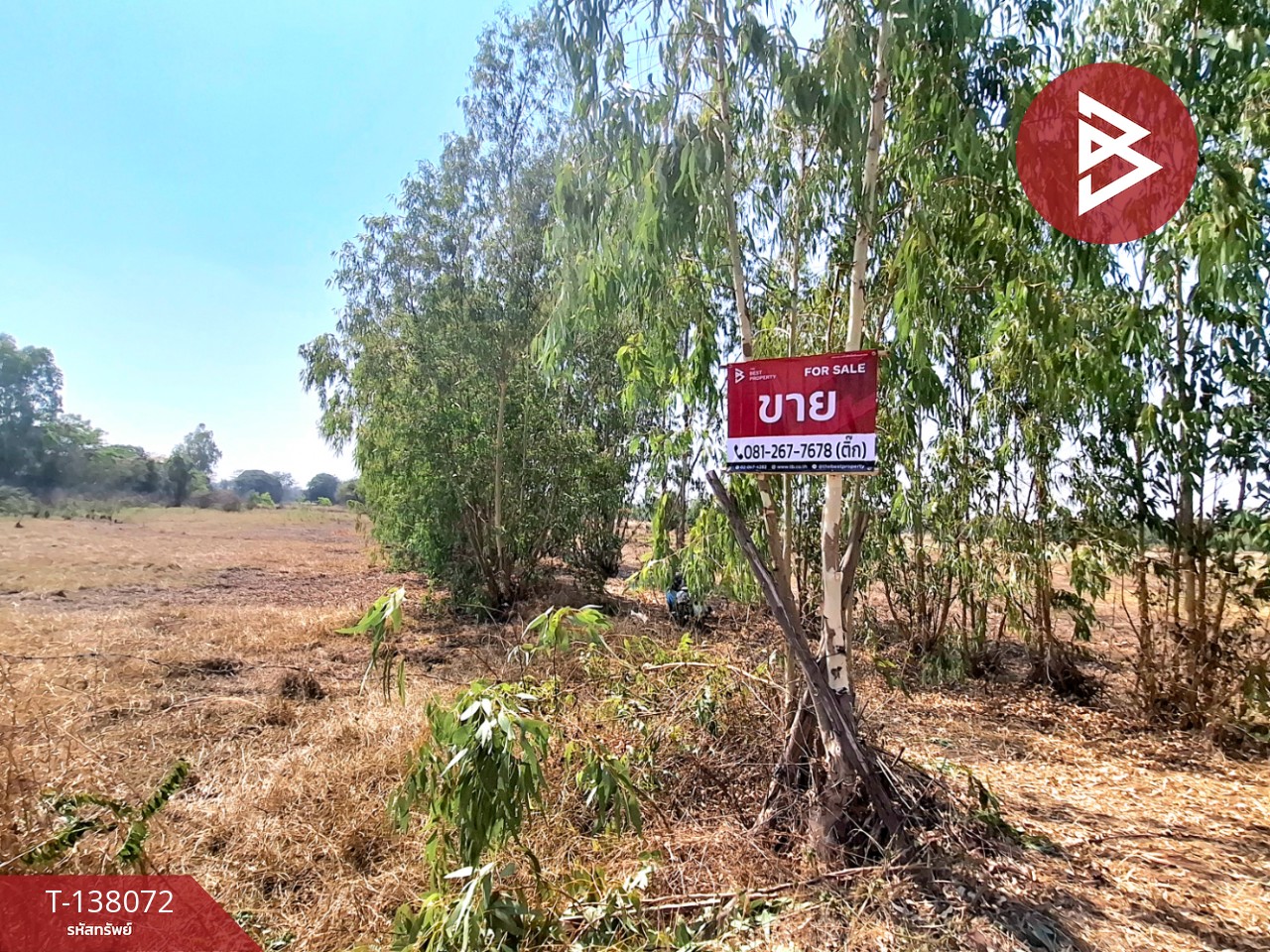 ขายที่ดิน เนื้อที่ 1 ไร่ ตำบลท่าม่วง อำเภอเสลภูมิ ร้อยเอ็ด 10