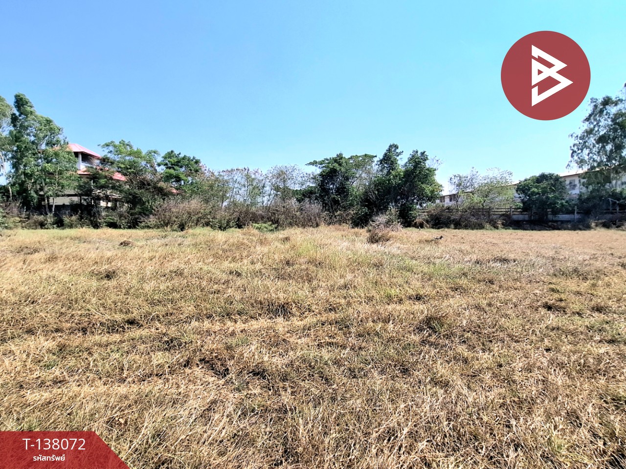 ขายที่ดิน เนื้อที่ 1 ไร่ ตำบลท่าม่วง อำเภอเสลภูมิ ร้อยเอ็ด 6