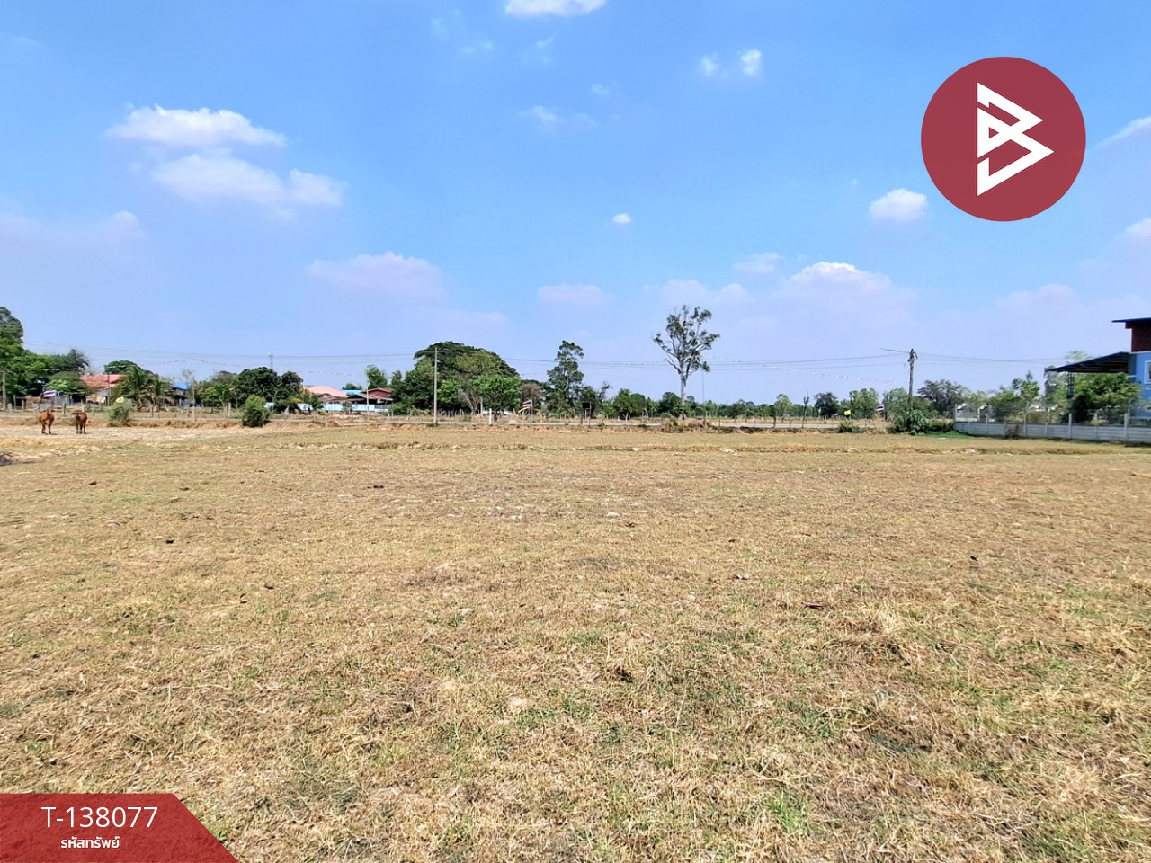 ขายที่ดิน เนื้อที่ 1 ไร่ 2 งาน เหนือเมือง ร้อยเอ็ด 8