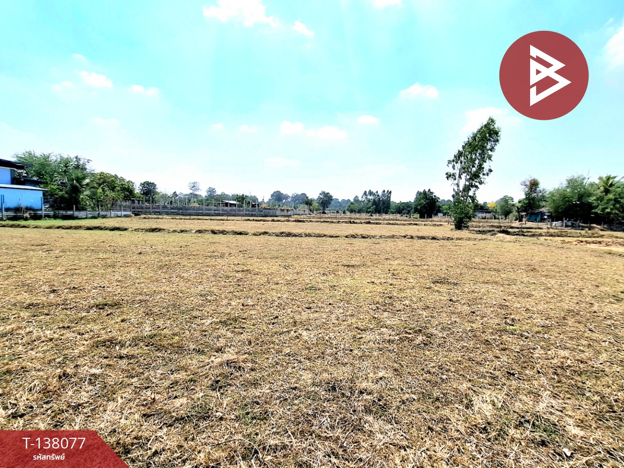 ขายที่ดิน เนื้อที่ 1 ไร่ 2 งาน เหนือเมือง ร้อยเอ็ด 7