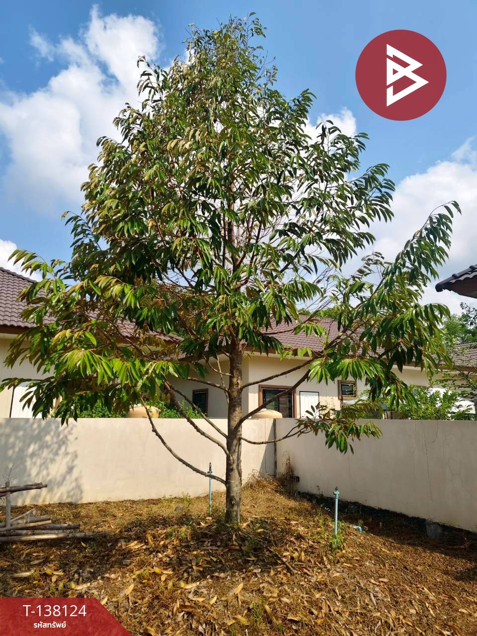 ขายที่ดิน เนื้อที่ 1 งาน เกาะขวาง จันทบุรี 9