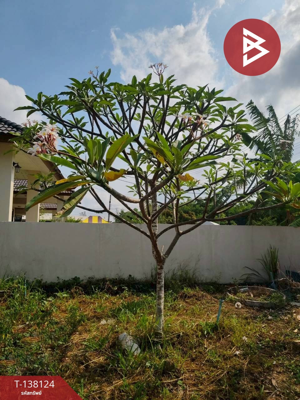 ขายที่ดิน เนื้อที่ 1 งาน เกาะขวาง จันทบุรี 11