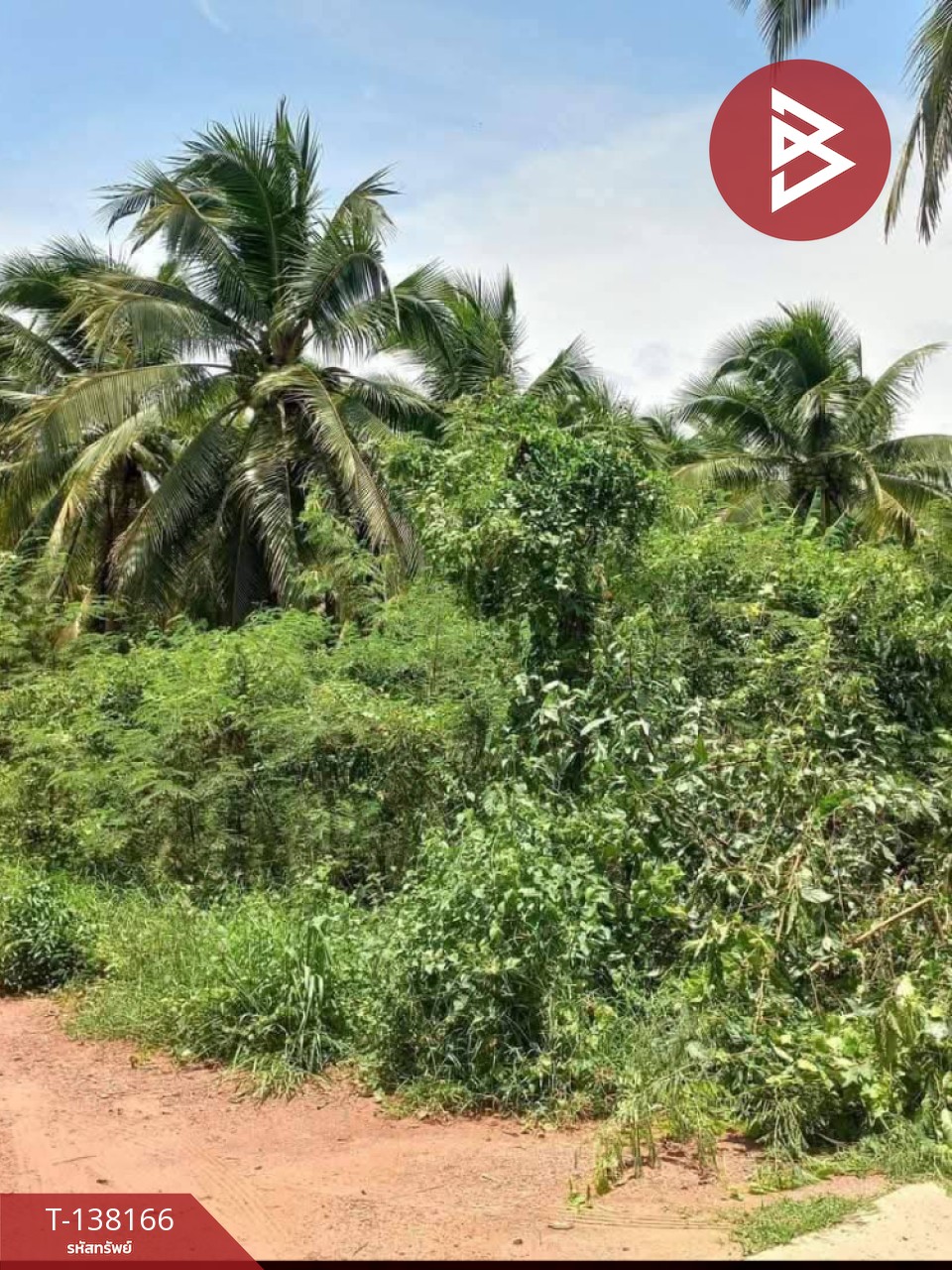 ขายที่ดิน เนื้อที่ 2 งาน 44.5 ตร.วา ดำเนินสะดวก ราชบุรี 1