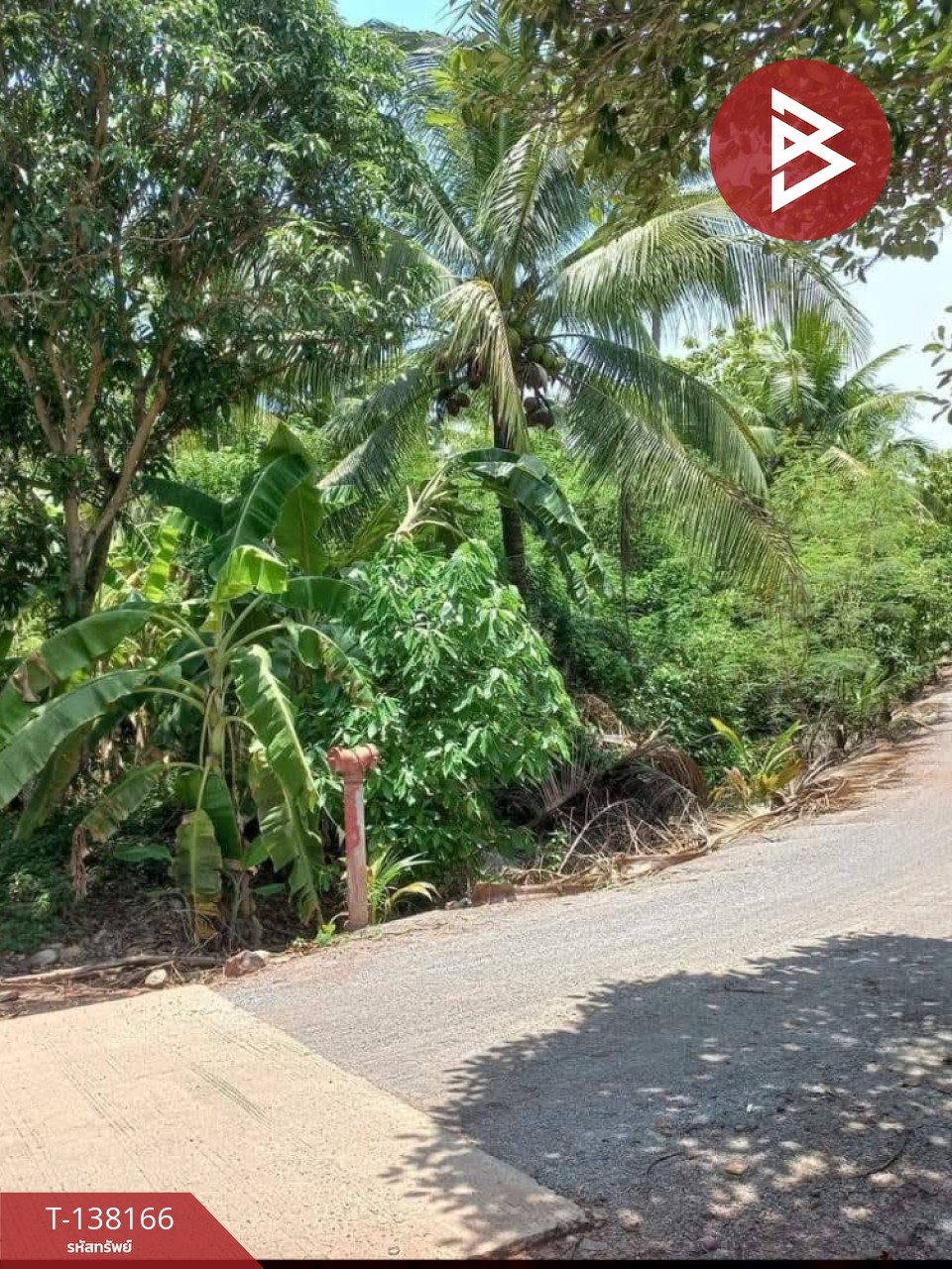 ขายที่ดิน เนื้อที่ 2 งาน 44.5 ตร.วา ดำเนินสะดวก ราชบุรี 3