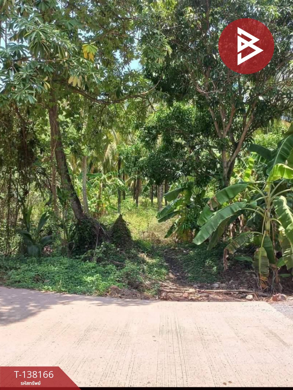 ขายที่ดิน เนื้อที่ 2 งาน 44.5 ตร.วา ดำเนินสะดวก ราชบุรี 2