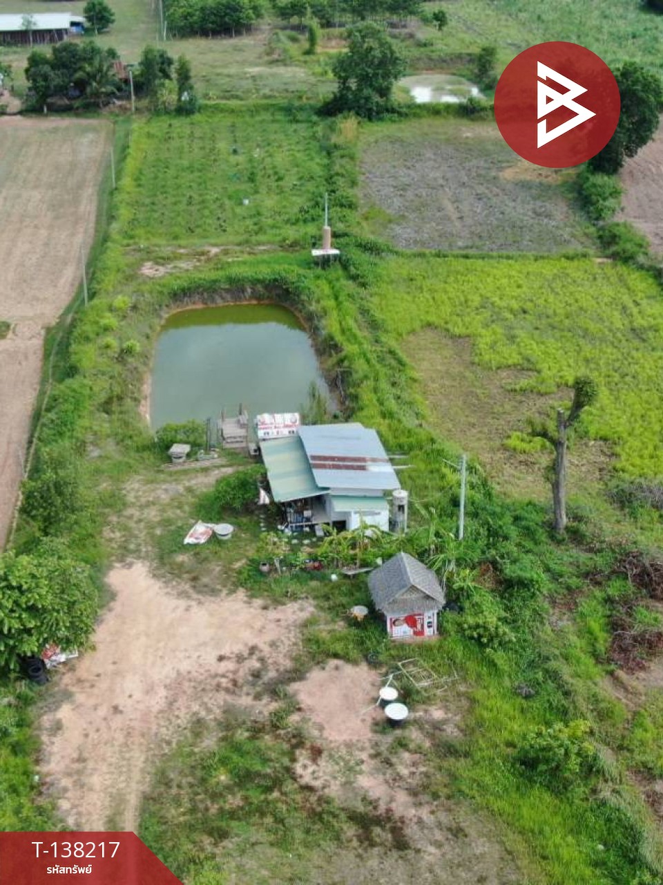 ขายบ้านเดี่ยวพร้อมที่ดิน เนื้อที่ 3 ไร่ 3 งาน 12 ตร.วา โนนศิลา ขอนแก่น 14