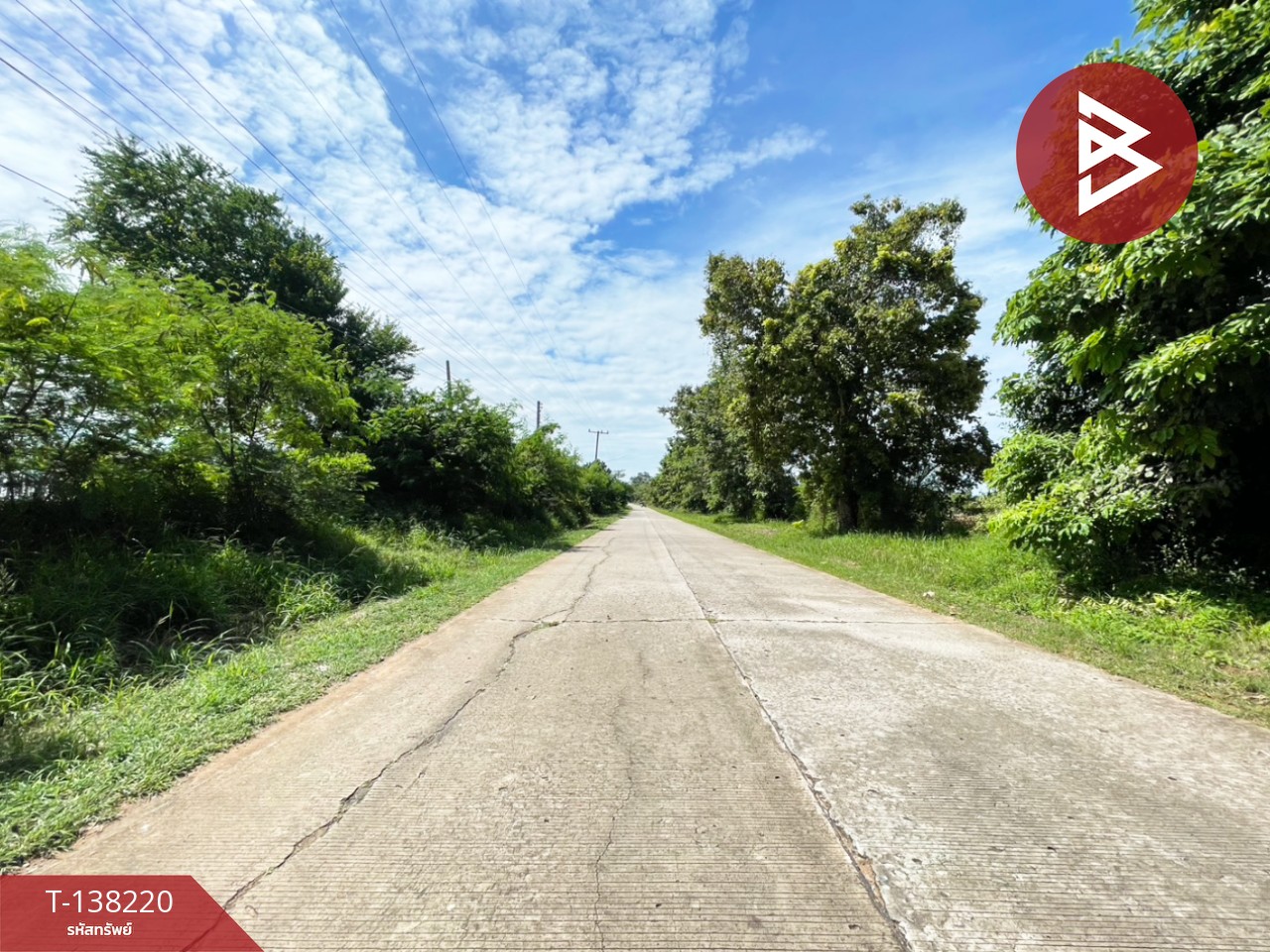 ขายที่ดิน เนื้อที่ 3 งาน 20 ตร.วา บ้านไผ่ ขอนแก่น 11