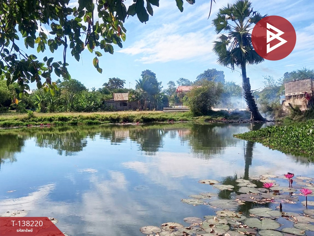 ขายที่ดิน เนื้อที่ 3 งาน 20 ตร.วา บ้านไผ่ ขอนแก่น 8