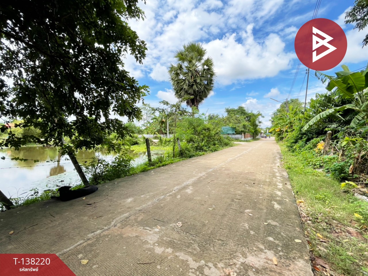 ขายที่ดิน เนื้อที่ 3 งาน 20 ตร.วา บ้านไผ่ ขอนแก่น 7