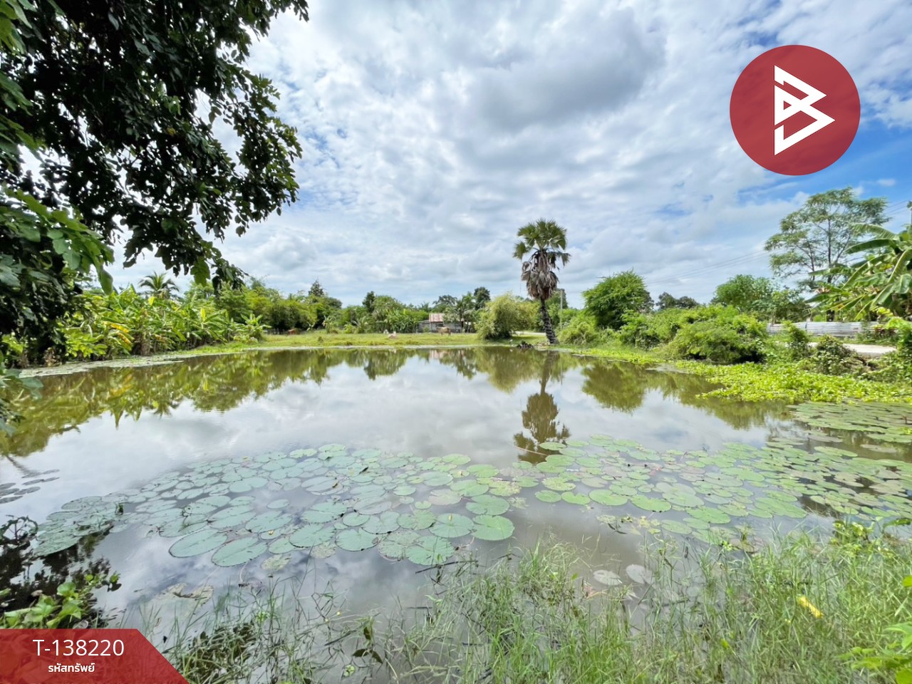 ขายที่ดิน เนื้อที่ 3 งาน 20 ตร.วา บ้านไผ่ ขอนแก่น 5