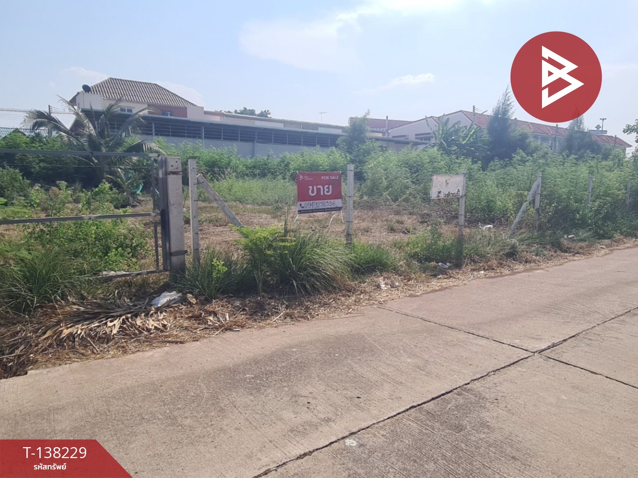 ขายที่ดิน เนื้อที่ 100 ตร.วา แม่กลอง สมุทรสงคราม 1