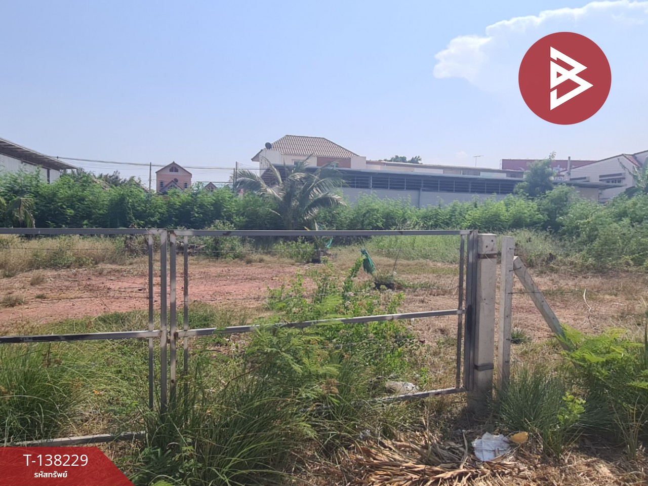 ขายที่ดิน เนื้อที่ 100 ตร.วา แม่กลอง สมุทรสงคราม 2