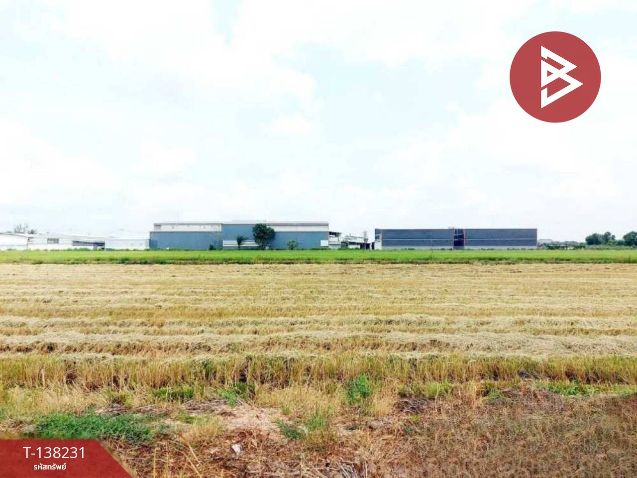 ขายที่ดินเปล่า เนื้อที่ 1 ไร่ 2 งาน 84 ตารางวา ต.คลองนครเนื่องเขต ฉะเชิงเทรา 6