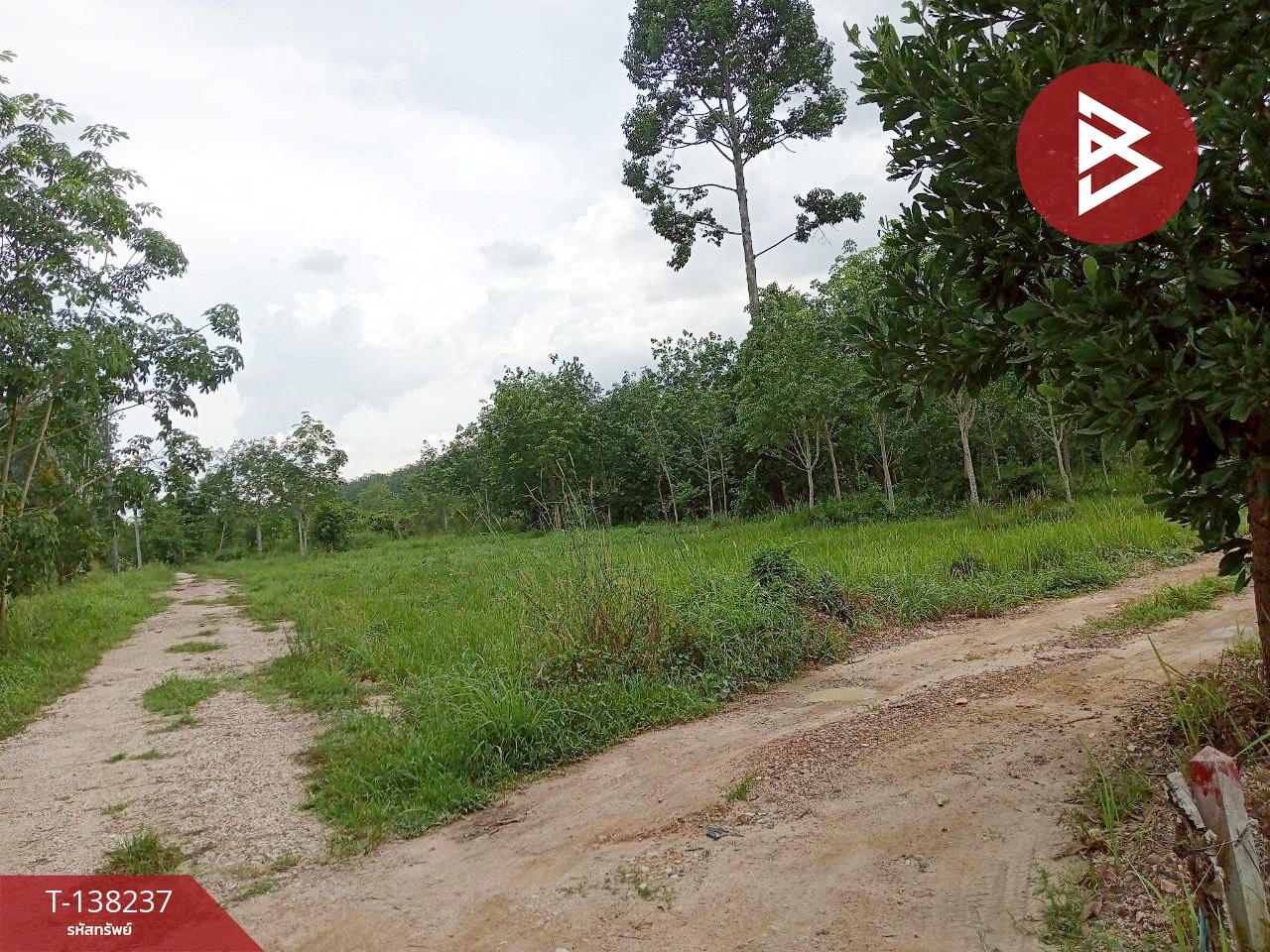 ขายที่ดิน เนื้อที่ 2 ไร่ บ้านค่าย ระยอง 1