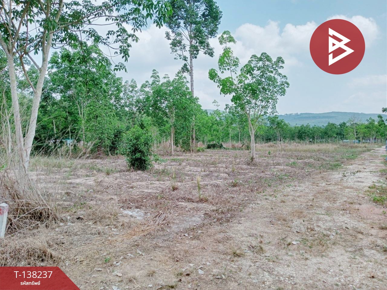 ขายที่ดิน เนื้อที่ 2 ไร่ บ้านค่าย ระยอง 4