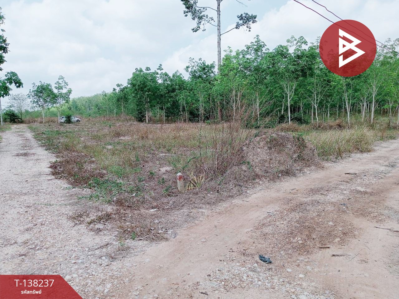 ขายที่ดิน เนื้อที่ 2 ไร่ บ้านค่าย ระยอง 5