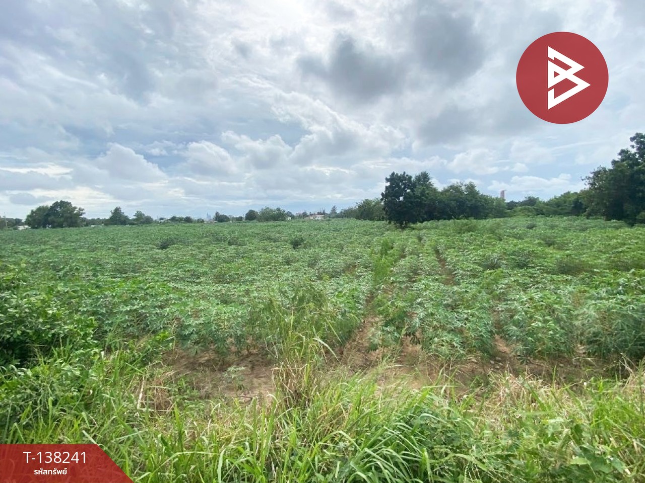 ให้เช่า ที่ดิน เนื้อที่ 7 ไร่ 1 งาน 54.3 ตารางวา บางละมุง ชลบุรี 3