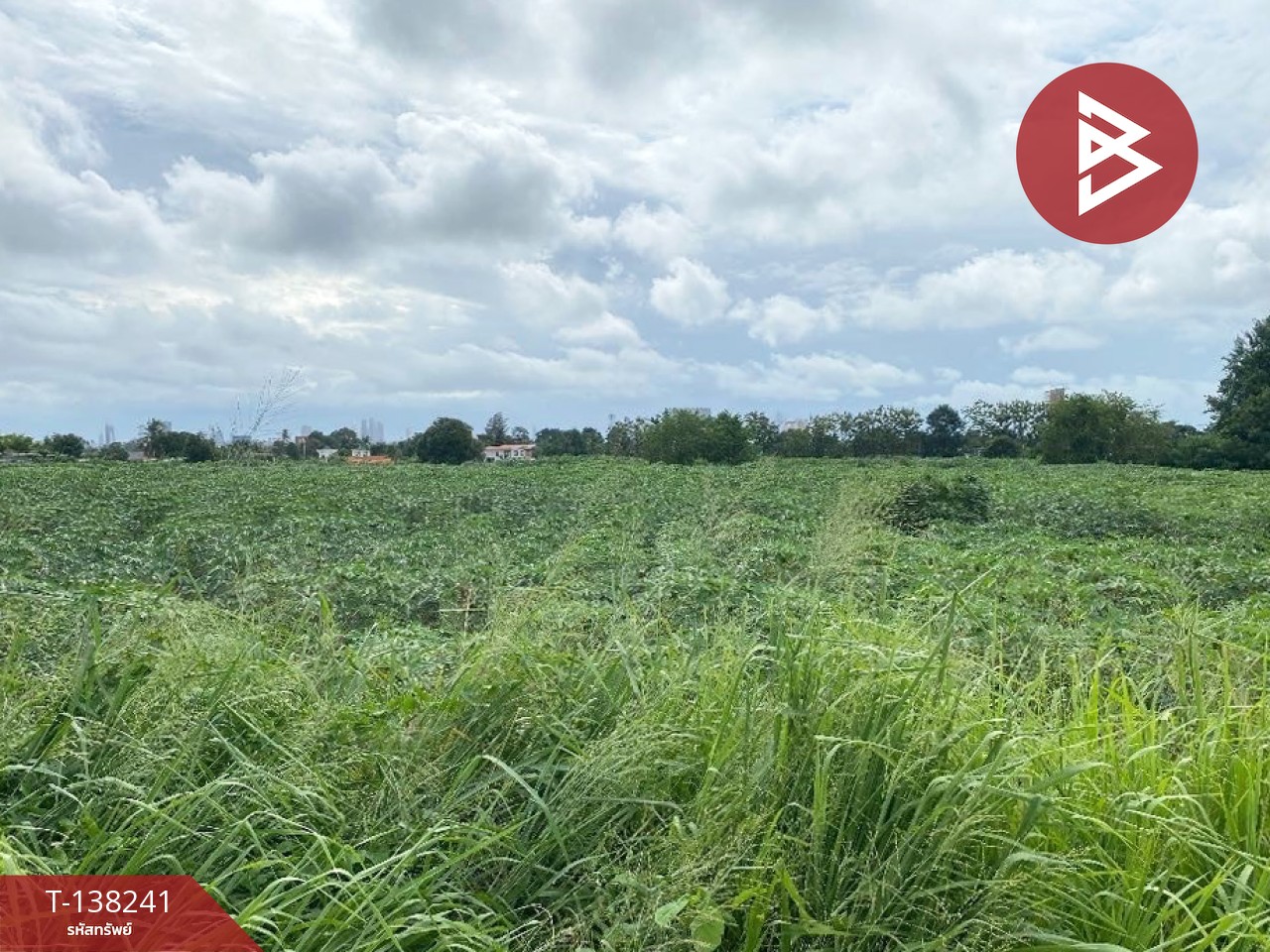 ให้เช่า ที่ดิน เนื้อที่ 7 ไร่ 1 งาน 54.3 ตารางวา บางละมุง ชลบุรี 2