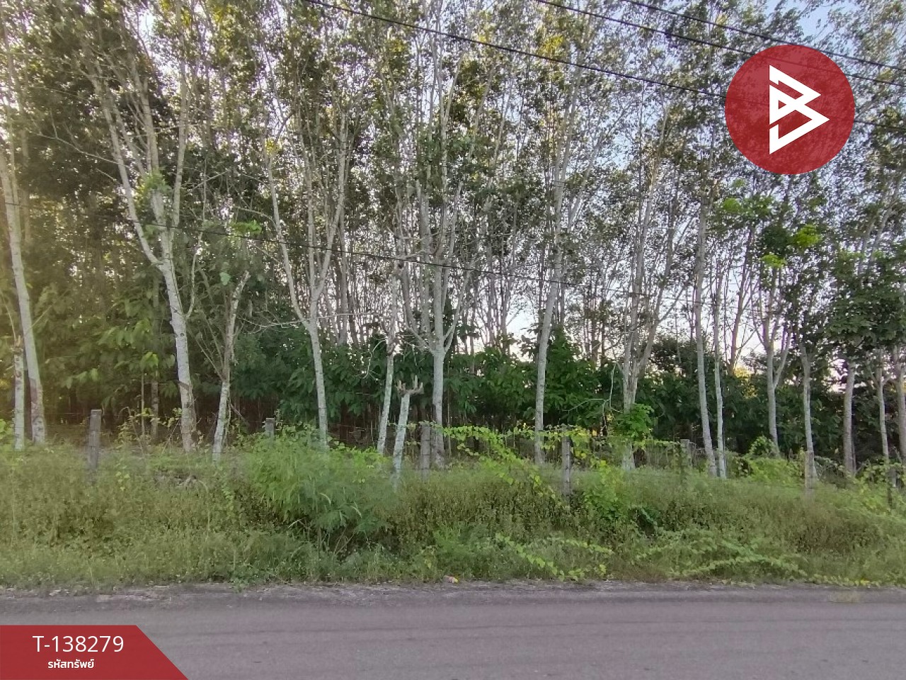 ขายที่ดิน เนื้อที่ 7 ไร่ 1 งาน 89 ตร.วา ท่าใหม่ จันทบุรี 10