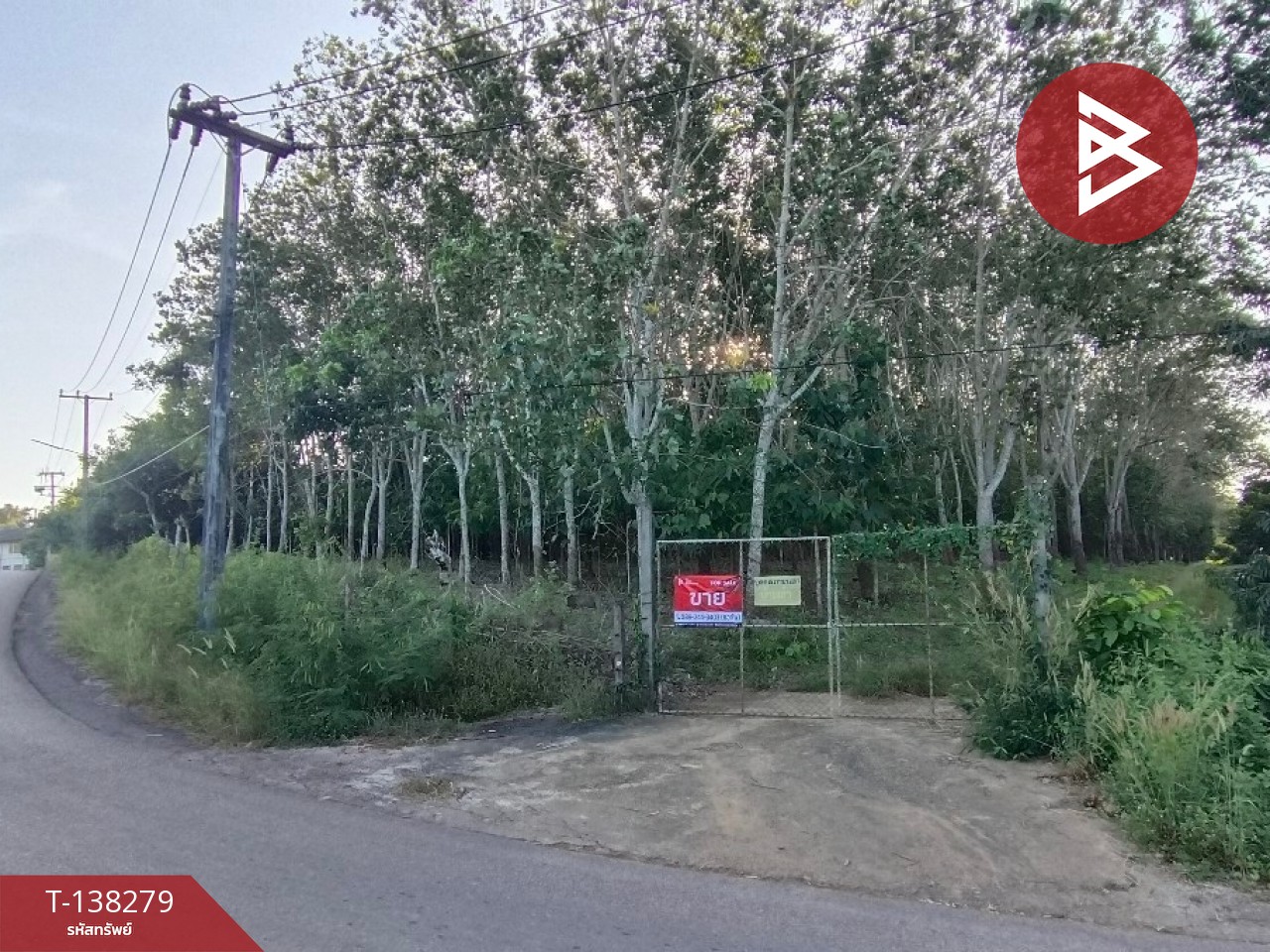 ขายที่ดิน เนื้อที่ 7 ไร่ 1 งาน 89 ตร.วา ท่าใหม่ จันทบุรี 2