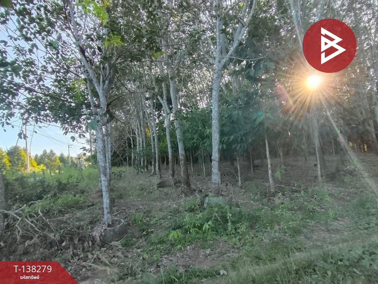 ขายที่ดิน เนื้อที่ 7 ไร่ 1 งาน 89 ตร.วา ท่าใหม่ จันทบุรี 3