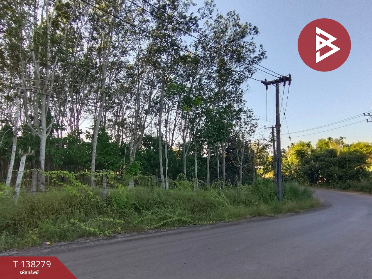 ขายที่ดิน เนื้อที่ 7 ไร่ 1 งาน 89 ตร.วา ท่าใหม่ จันทบุรี 7