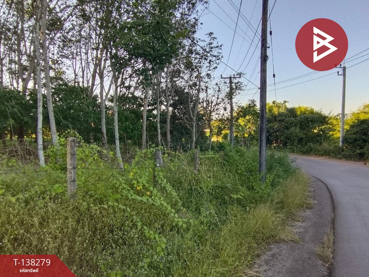 ขายที่ดิน เนื้อที่ 7 ไร่ 1 งาน 89 ตร.วา ท่าใหม่ จันทบุรี 9