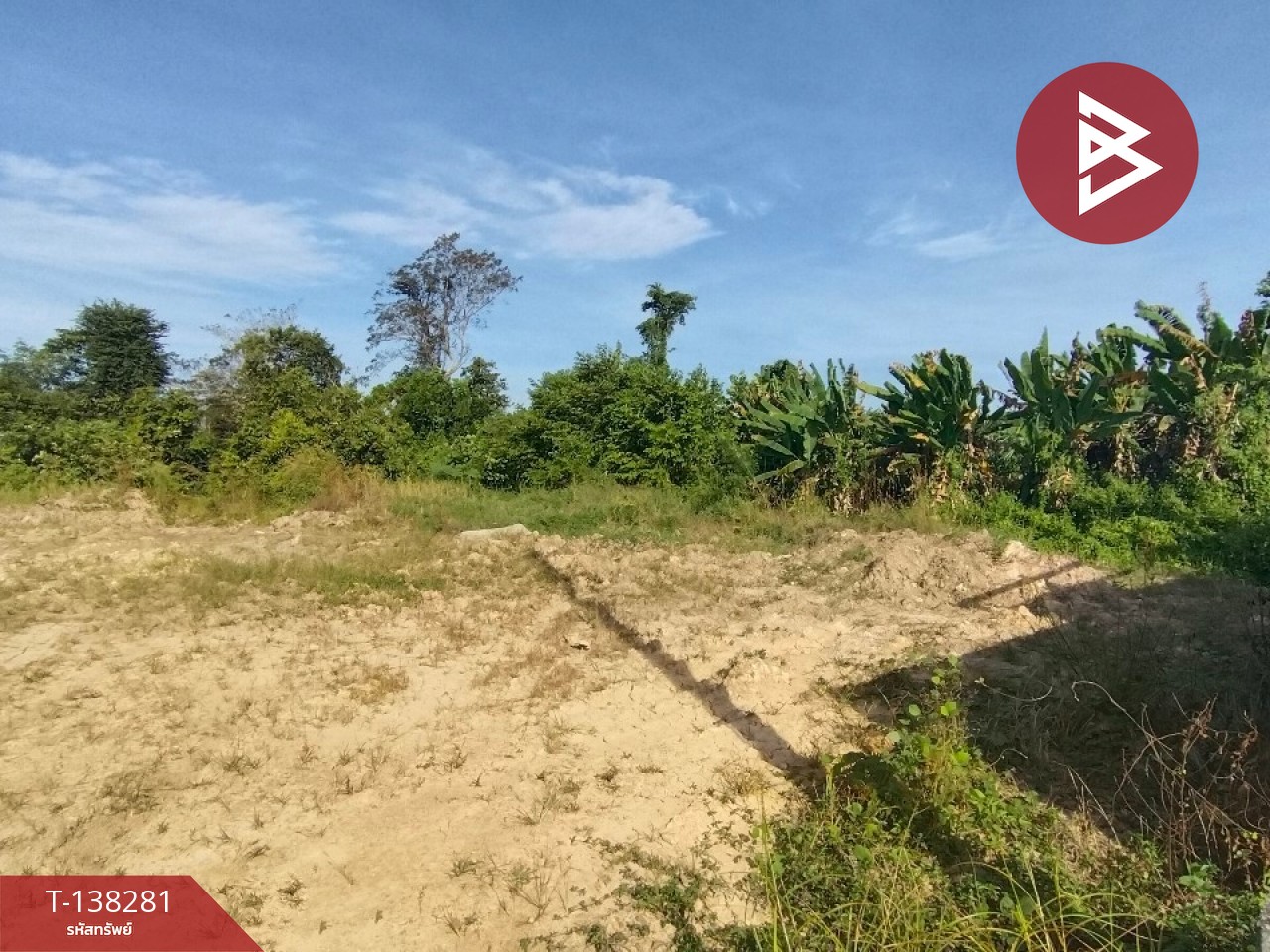 ขายที่ดิน เนื้อที่ 1 งาน ท่าช้าง จันทบุรี 1