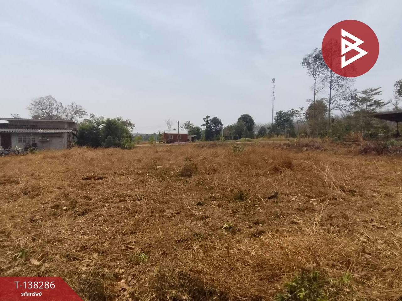 ขายที่ดิน เนื้อที่ 2 งาน ท่าช้าง จันทบุรี 4