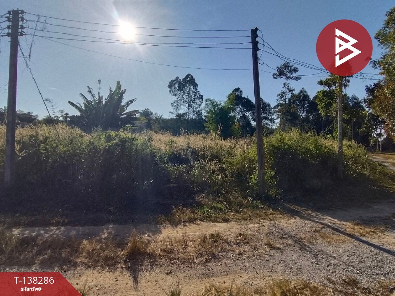 ขายที่ดิน เนื้อที่ 2 งาน ท่าช้าง จันทบุรี 10