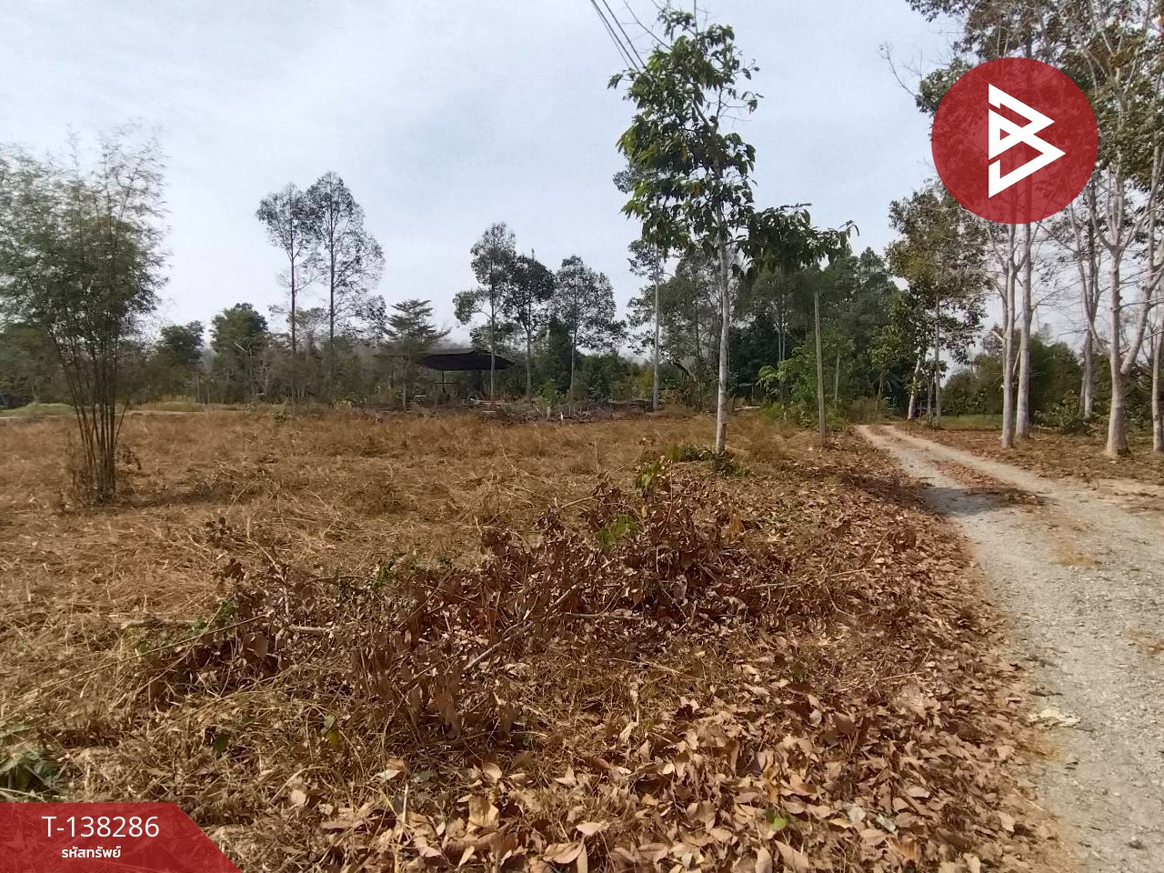 ขายที่ดิน เนื้อที่ 2 งาน ท่าช้าง จันทบุรี 6