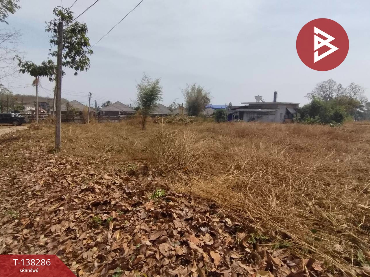 ขายที่ดิน เนื้อที่ 2 งาน ท่าช้าง จันทบุรี 3