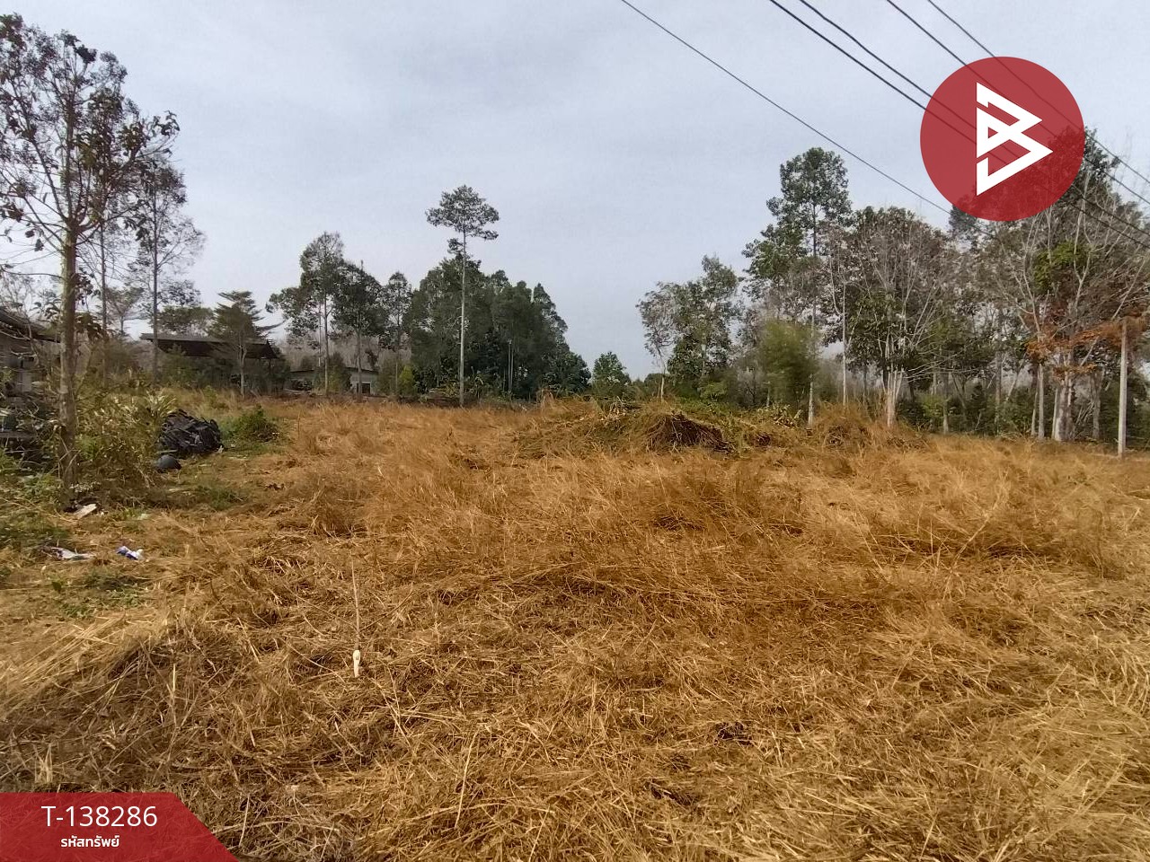 ขายที่ดิน เนื้อที่ 2 งาน ท่าช้าง จันทบุรี 9