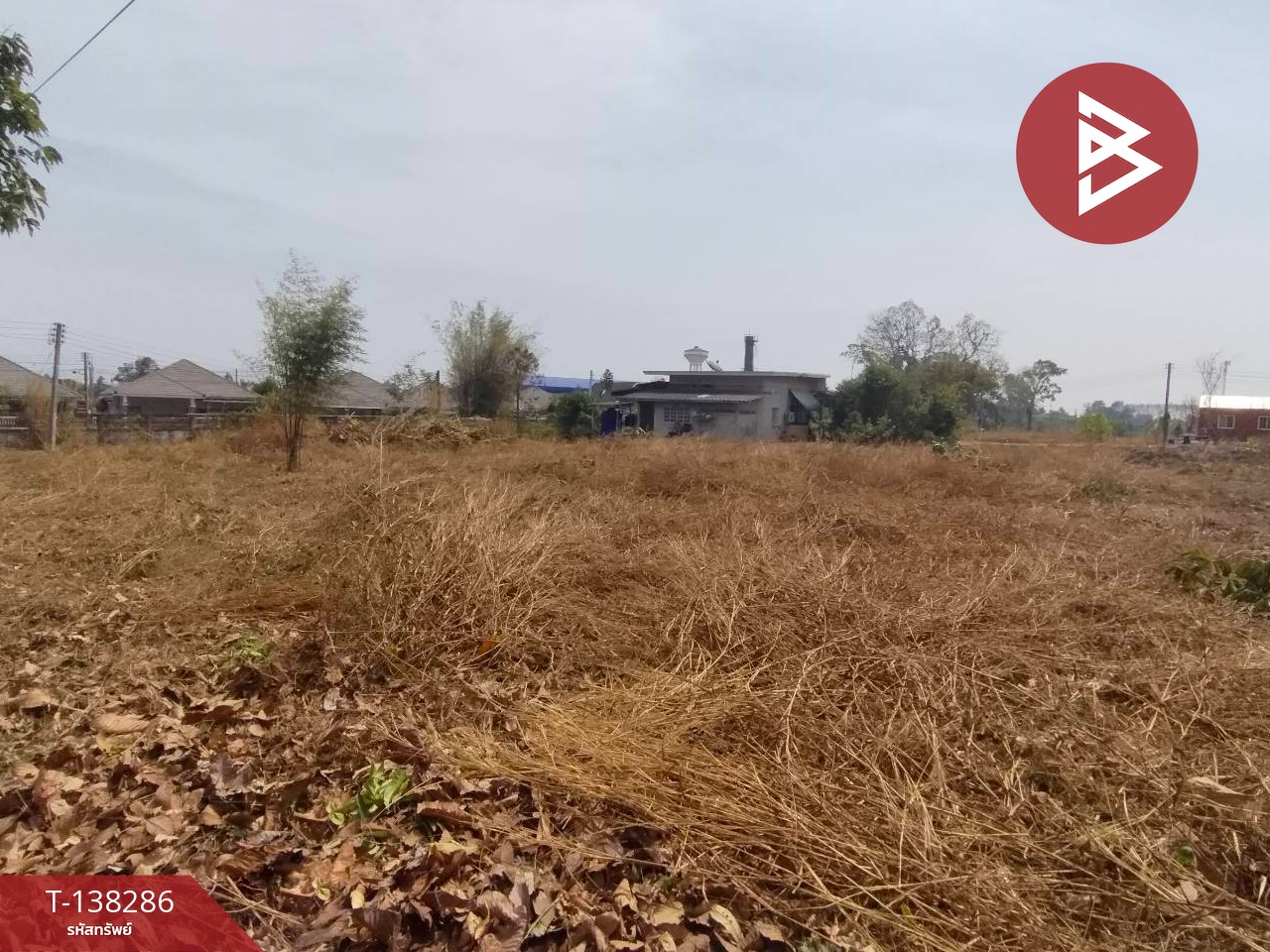 ขายที่ดิน เนื้อที่ 2 งาน ท่าช้าง จันทบุรี 2